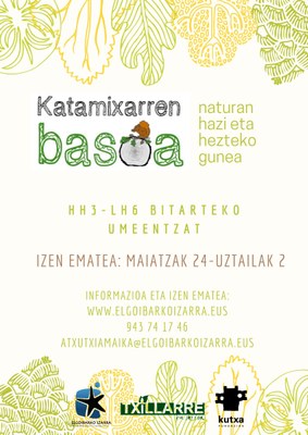 Katamixarren basoa; naturan hazi eta hezteko gunea