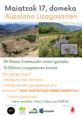 Lizagasarren hezegune txikia sortzeko auzolana