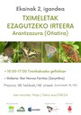 Tximeletak ezagutzera irteera, Arantzazura