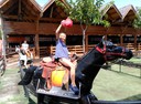 IMG_20150703_162820.jpg