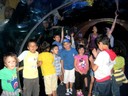 Berbazulo_2009_Aquarium_13.jpg