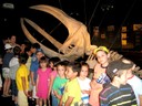 Berbazulo_2009_Aquarium_16.jpg